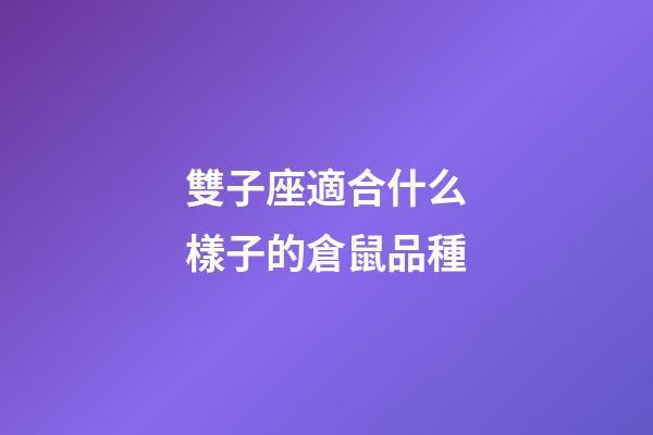 雙子座適合什么樣子的倉鼠品種-第1張-星座運勢-玄機派