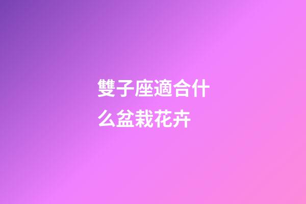 雙子座適合什么盆栽花卉