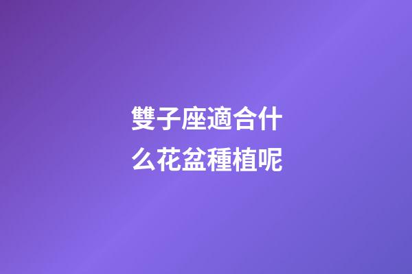雙子座適合什么花盆種植呢
