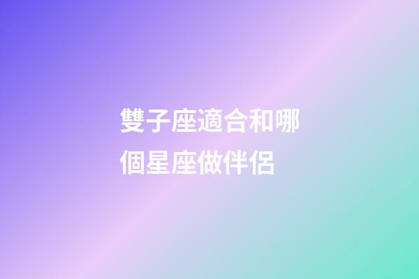雙子座適合和哪個星座做伴侶-第1張-星座運勢-玄機派