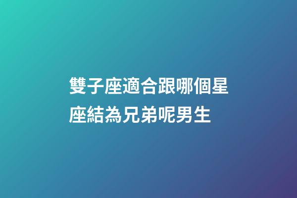 雙子座適合跟哪個星座結為兄弟呢男生-第1張-星座運勢-玄機派