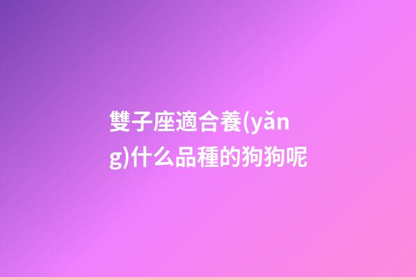 雙子座適合養(yǎng)什么品種的狗狗呢