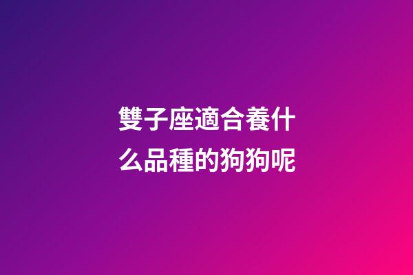 雙子座適合養什么品種的狗狗呢-第1張-星座運勢-玄機派