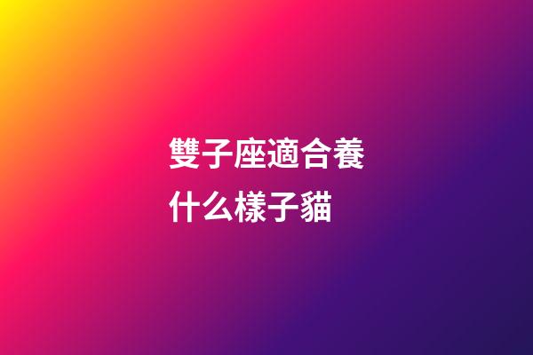 雙子座適合養什么樣子貓-第1張-星座運勢-玄機派