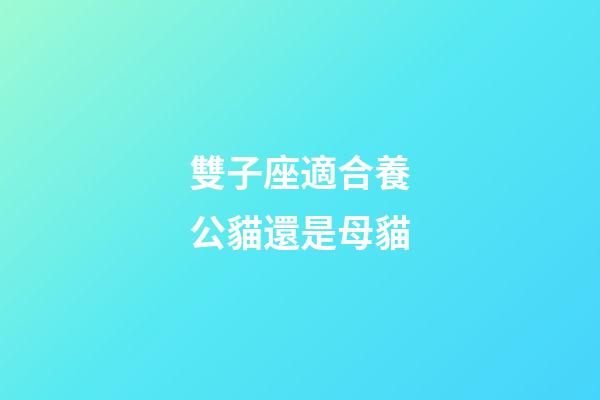 雙子座適合養公貓還是母貓