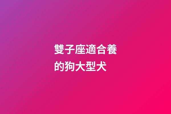 雙子座適合養的狗大型犬-第1張-星座運勢-玄機派