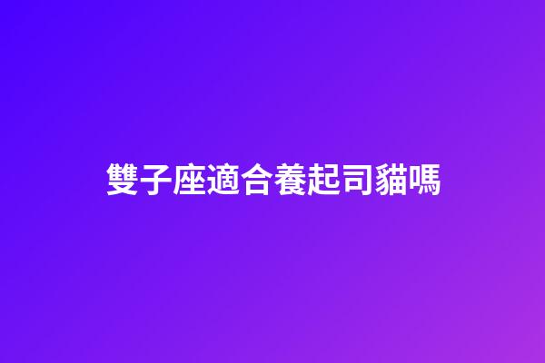 雙子座適合養起司貓嗎-第1張-星座運勢-玄機派