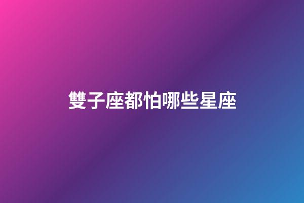 雙子座都怕哪些星座-第1張-星座運(yùn)勢-玄機(jī)派