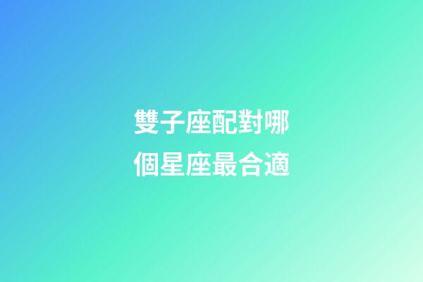 雙子座配對哪個星座最合適-第1張-星座運勢-玄機(jī)派