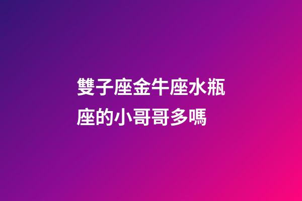 雙子座金牛座水瓶座的小哥哥多嗎