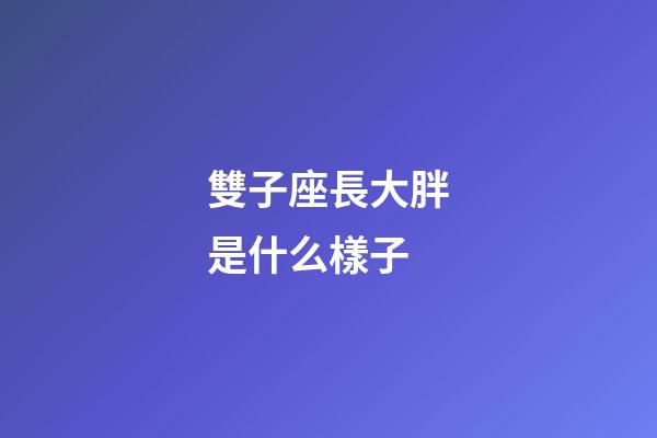 雙子座長大胖是什么樣子-第1張-星座運勢-玄機(jī)派
