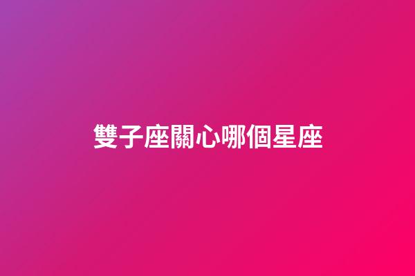 雙子座關心哪個星座-第1張-星座運勢-玄機派