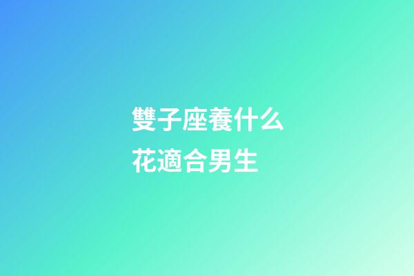 雙子座養什么花適合男生