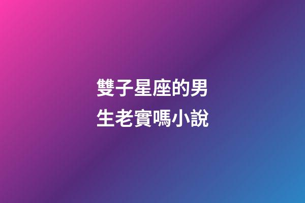 雙子星座的男生老實嗎小說-第1張-星座運勢-玄機派