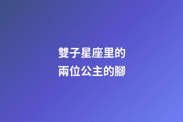雙子星座里的兩位公主的腳-第1張-星座運勢-玄機派