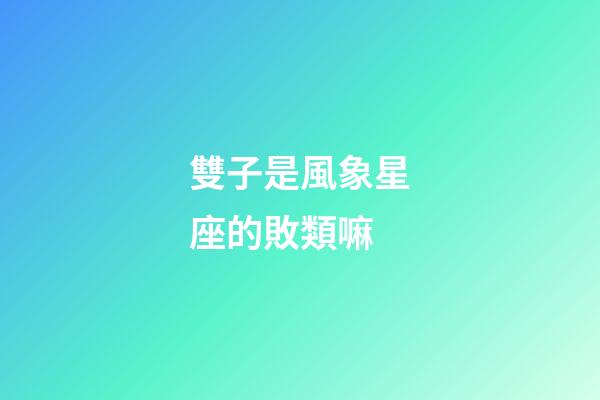 雙子是風象星座的敗類嘛-第1張-星座運勢-玄機派