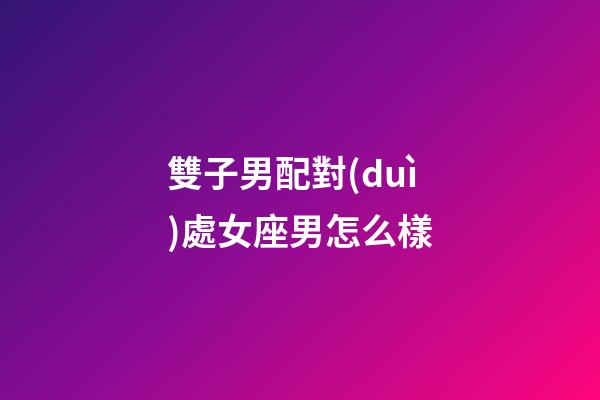 雙子男配對(duì)處女座男怎么樣-第1張-星座運(yùn)勢(shì)-玄機(jī)派