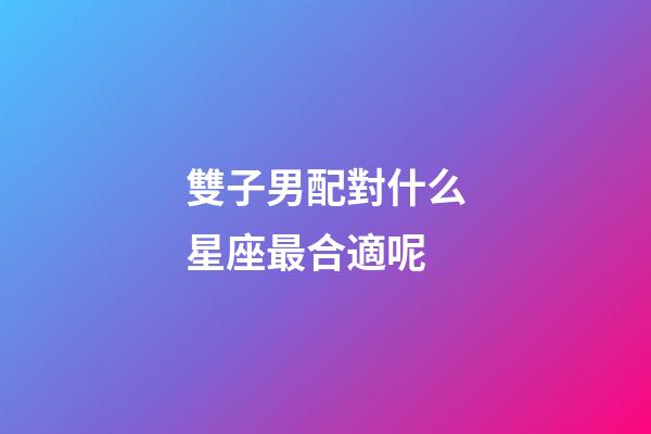 雙子男配對什么星座最合適呢-第1張-星座運勢-玄機派