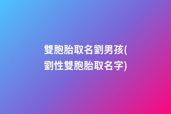 雙胞胎取名劉男孩(劉性雙胞胎取名字)