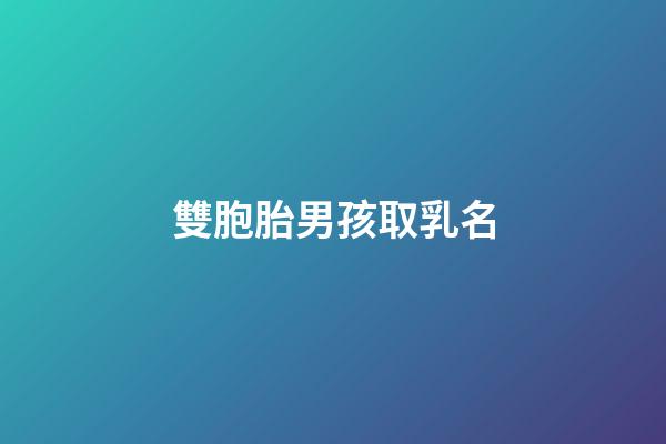 雙胞胎男孩取乳名(雙胞胎男孩取乳名大全2023)-第1張-男孩起名-玄機派