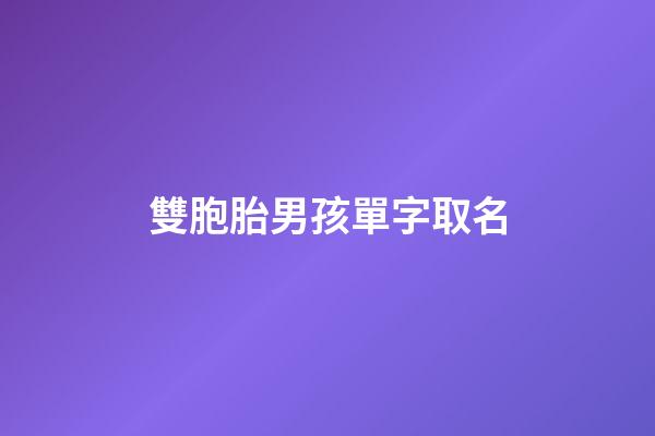 雙胞胎男孩單字取名(雙胞胎男孩單字取名字大全2023)-第1張-男孩起名-玄機(jī)派