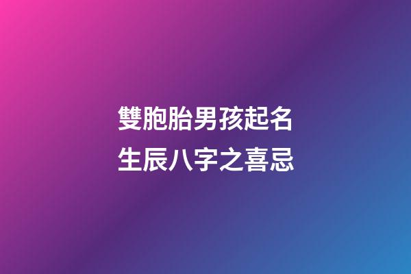 雙胞胎男孩起名生辰八字之喜忌