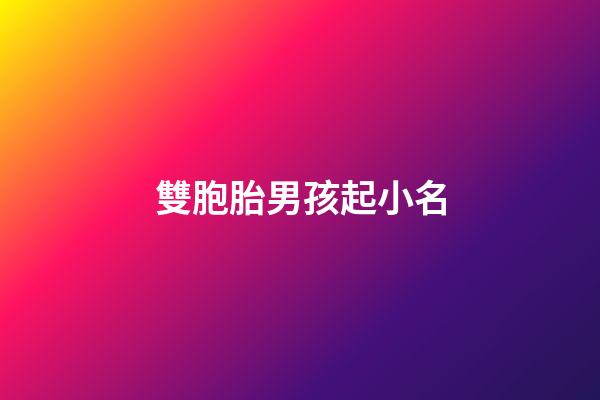 雙胞胎男孩起小名(雙胞胎男孩起小名叫什么)-第1張-男孩起名-玄機派