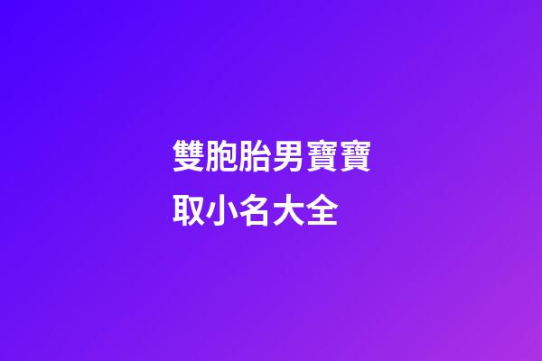 雙胞胎男寶寶取小名大全(雙胞胎男孩小名字大全2023)-第1張-男孩起名-玄機派