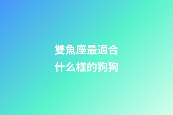 雙魚座最適合什么樣的狗狗-第1張-星座運勢-玄機派