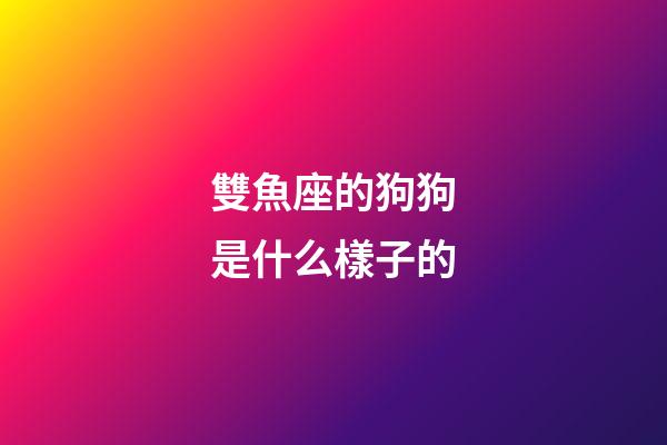 雙魚座的狗狗是什么樣子的-第1張-星座運勢-玄機派