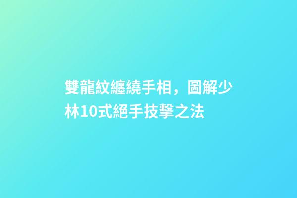 雙龍紋纏繞手相，圖解少林10式絕手技擊之法-第1張-觀點-玄機派