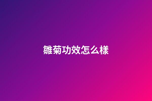雛菊功效怎么樣
