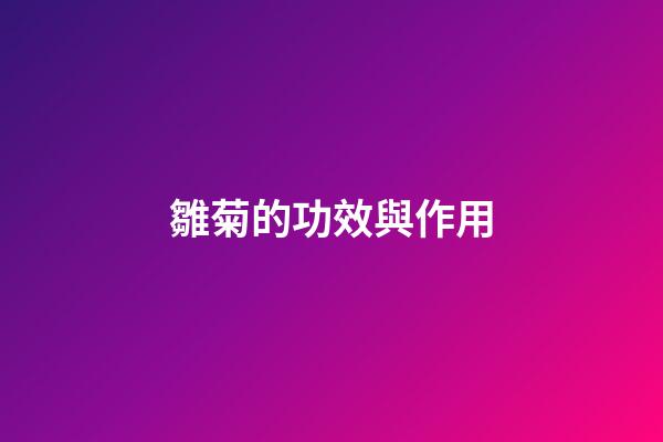 雛菊的功效與作用