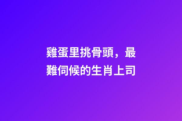 雞蛋里挑骨頭，最難伺候的生肖上司