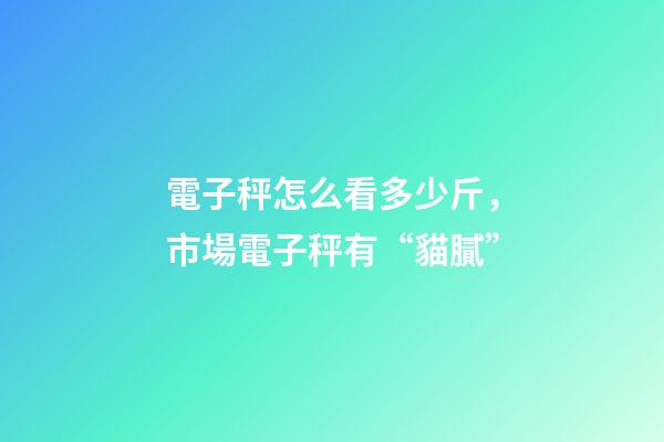 電子秤怎么看多少斤，市場電子秤有“貓膩”-第1張-觀點-玄機派