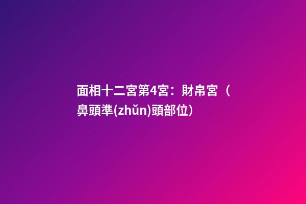 面相十二宮第4宮：財帛宮（鼻頭準(zhǔn)頭部位）