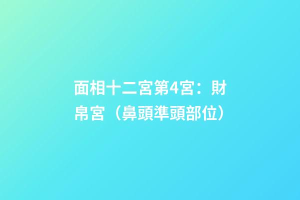 面相十二宮第4宮：財帛宮（鼻頭準頭部位）