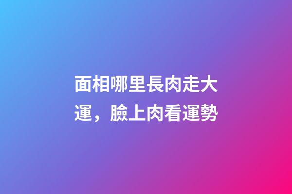 面相哪里長肉走大運，臉上肉看運勢