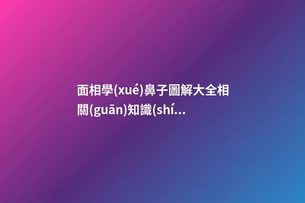 面相學(xué)鼻子圖解大全相關(guān)知識(shí)