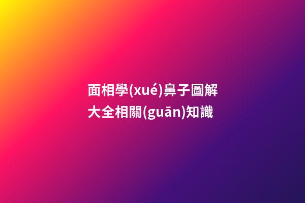 面相學(xué)鼻子圖解大全相關(guān)知識