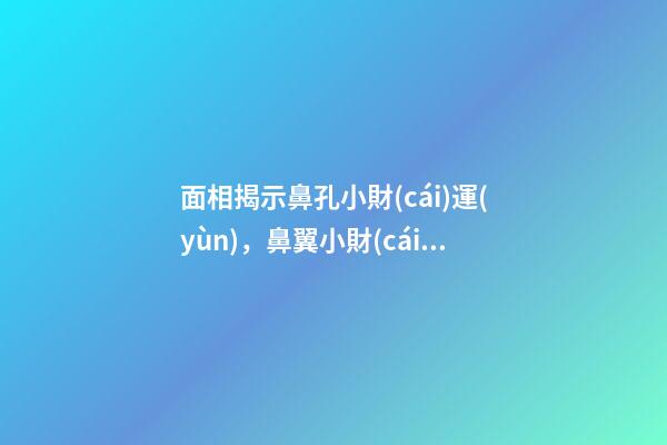 面相揭示鼻孔小財(cái)運(yùn)，鼻翼小財(cái)運(yùn)