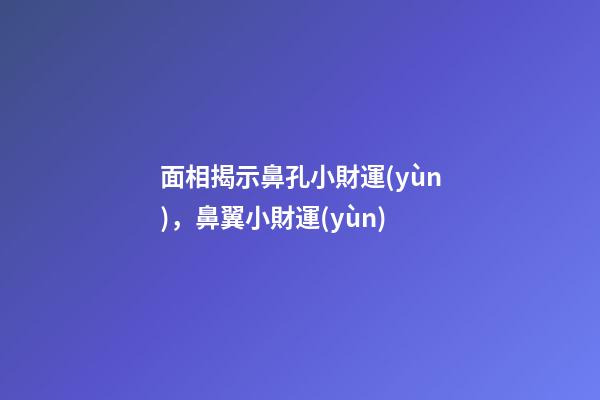 面相揭示鼻孔小財運(yùn)，鼻翼小財運(yùn)