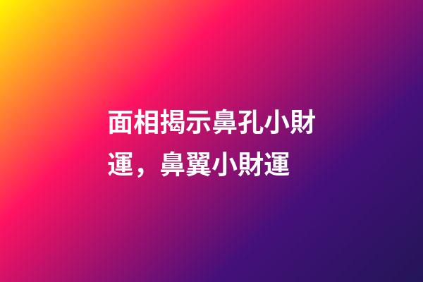 面相揭示鼻孔小財運，鼻翼小財運