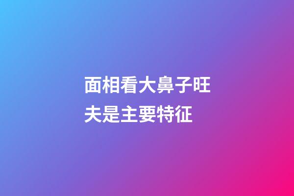 面相看大鼻子旺夫是主要特征