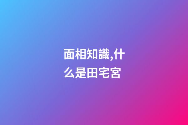 面相知識,什么是田宅宮