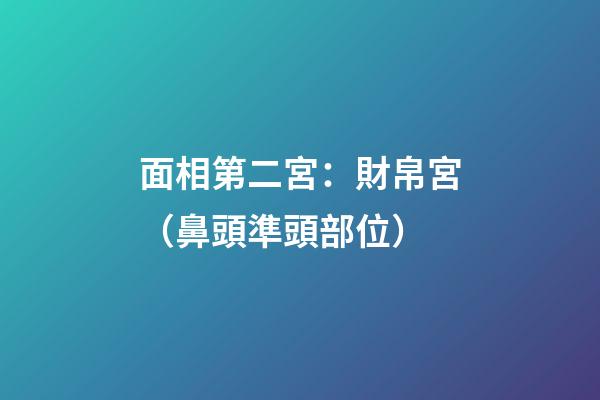 面相第二宮：財帛宮（鼻頭準頭部位）