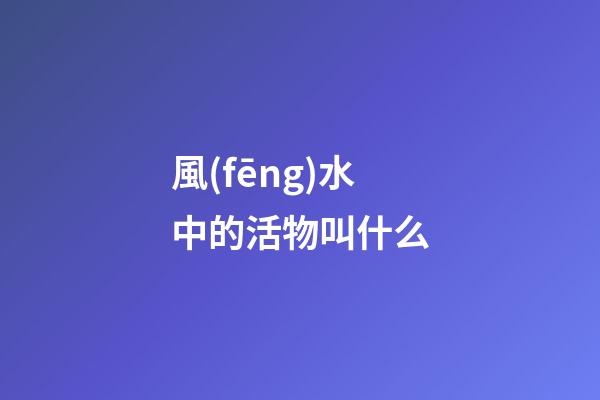 風(fēng)水中的活物叫什么