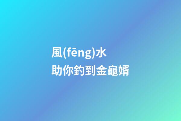 風(fēng)水助你釣到金龜婿