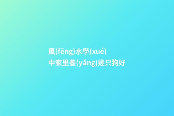 風(fēng)水學(xué)中家里養(yǎng)幾只狗好