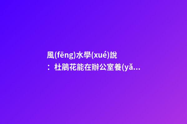 風(fēng)水學(xué)說：杜鵑花能在辦公室養(yǎng)嗎？